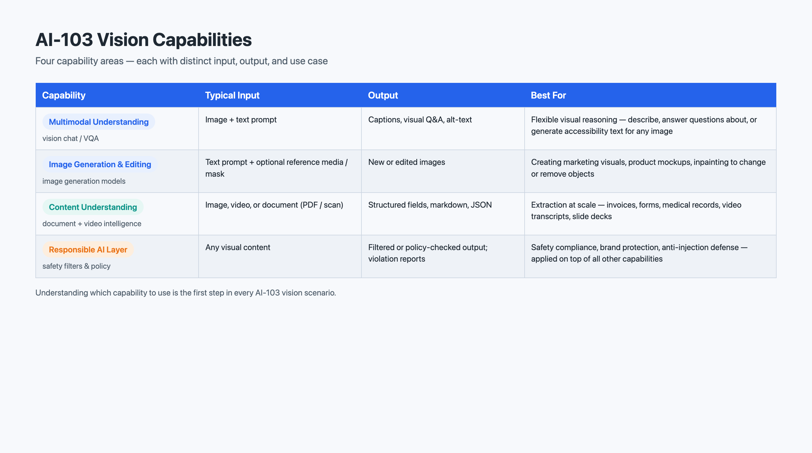 Vision Capability Matrix